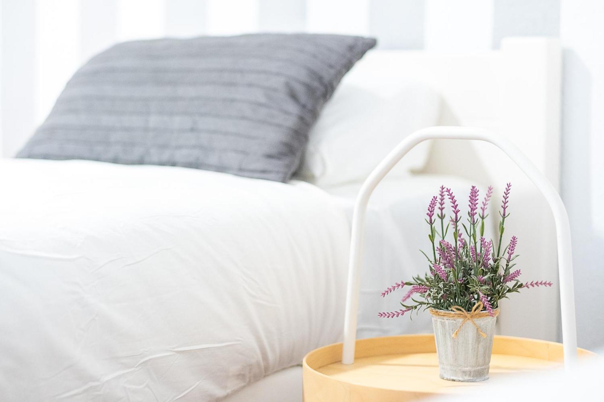 Apartamento New Folch Sevilla A Dış mekan fotoğraf